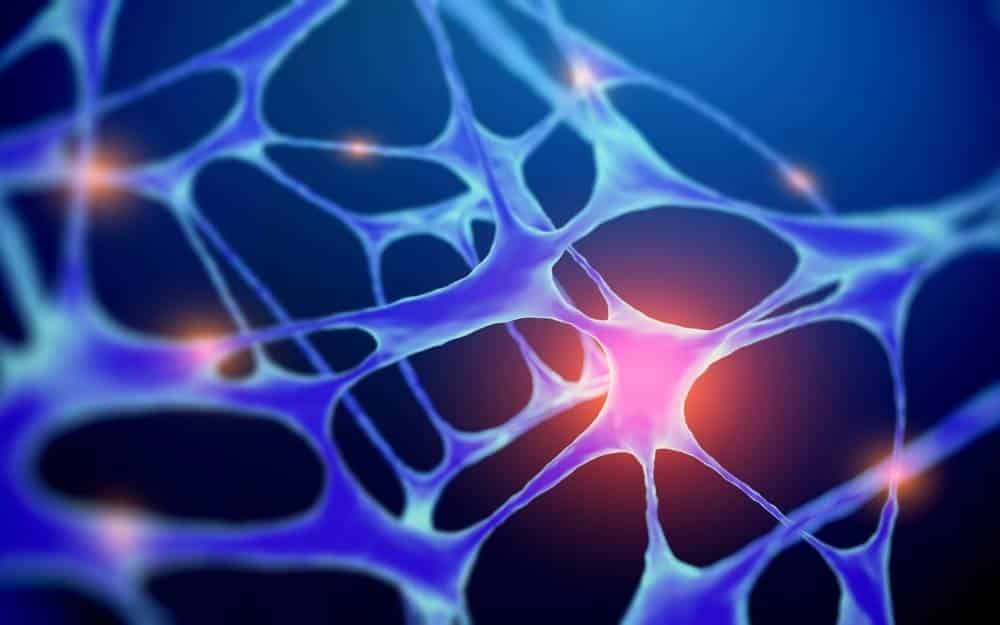 Peripheral-nerves01
