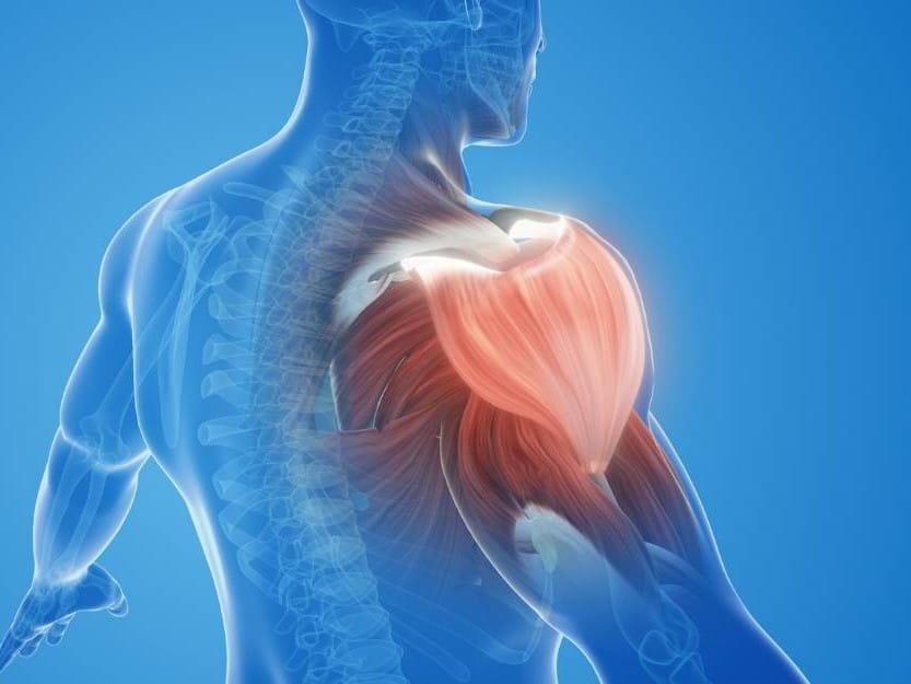 Potential shoulder Injury from Rugby